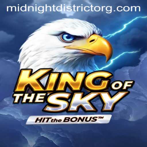 KingOfTheSky: Exploring the MidnightDistrict